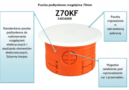 33036008 (zdjęcie 2)