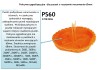 37083008 (zdjęcie 3)