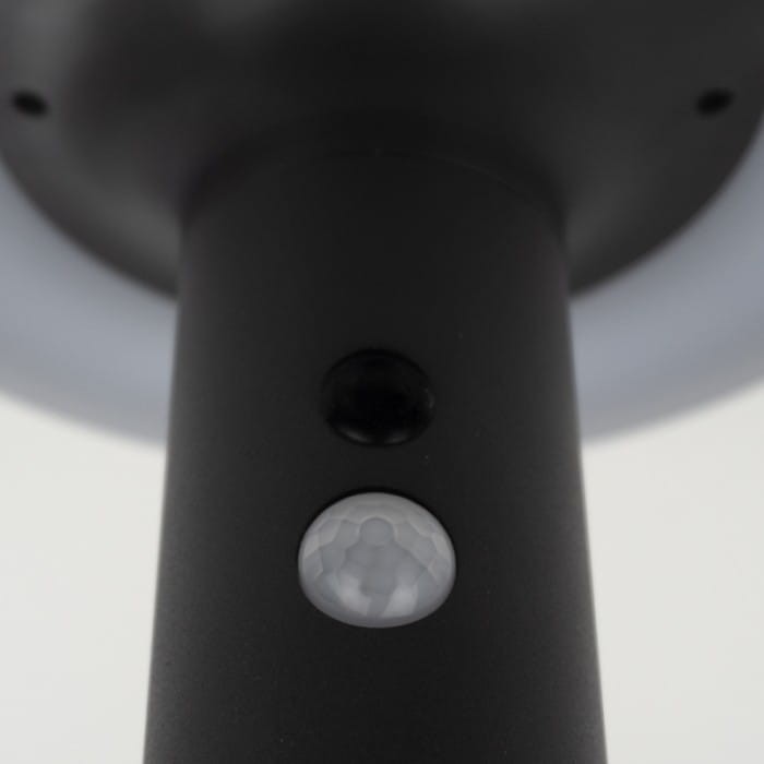 EC61336_3