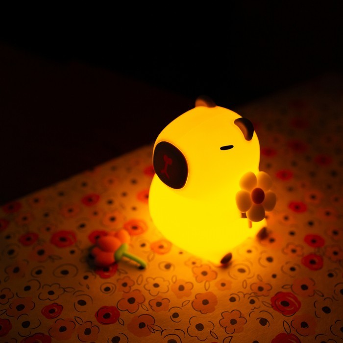 MW61108 (zdjęcie 3)