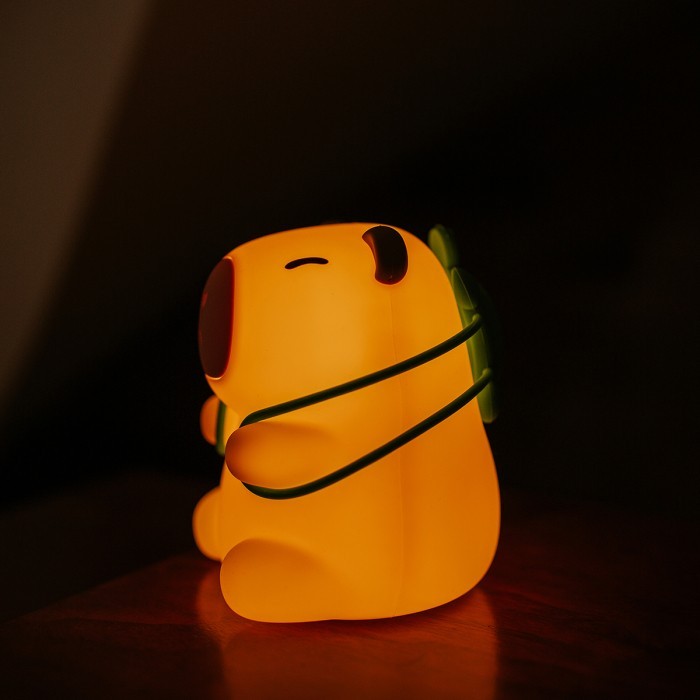 MW61109 (zdjęcie 4)