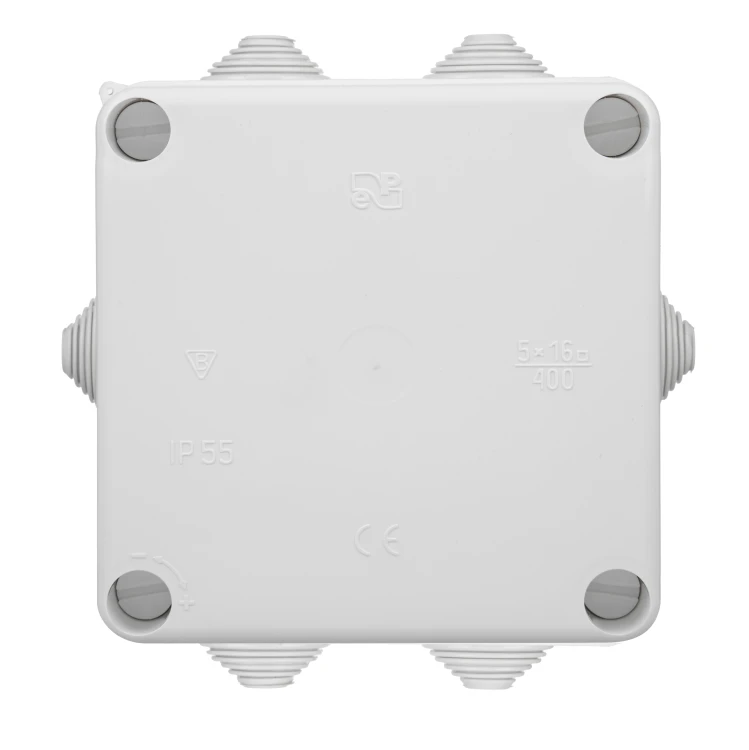 0252-00 (zdjęcie 2)