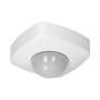 OR-CR-224
